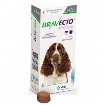 Bravecto Cães - 10 a 20 kg 